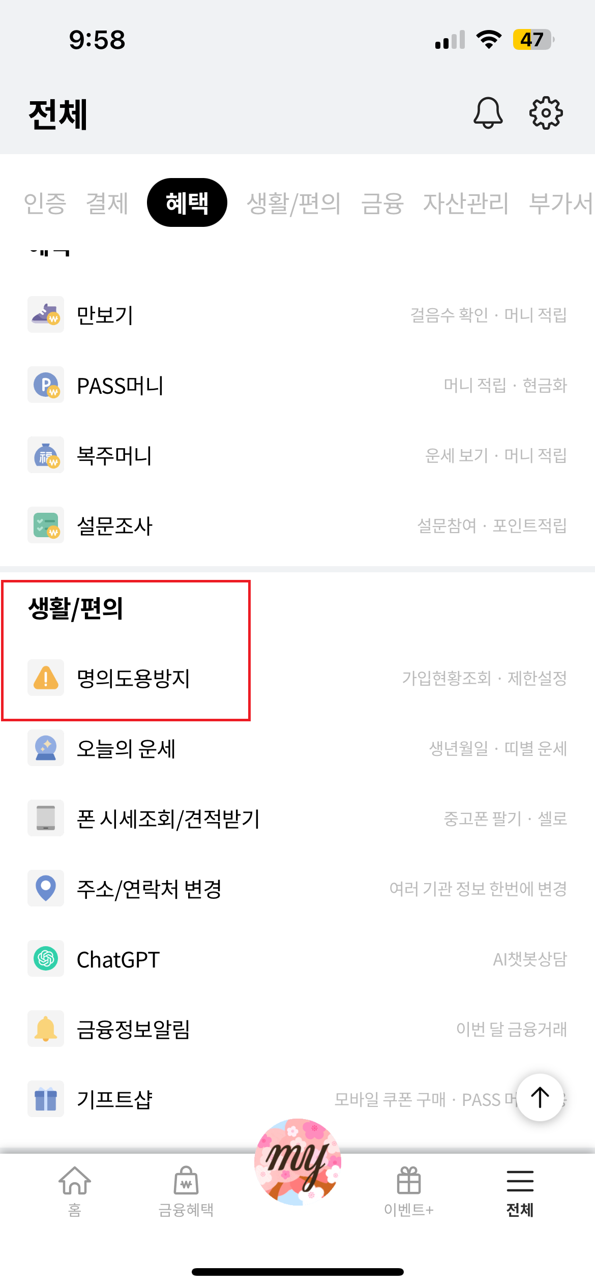 pass 명의도용서비스