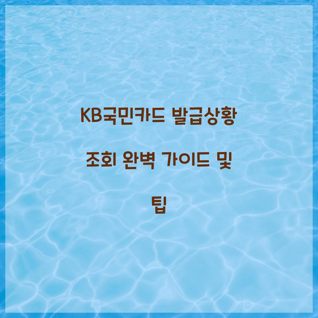 KB국민카드 발급상황 조회