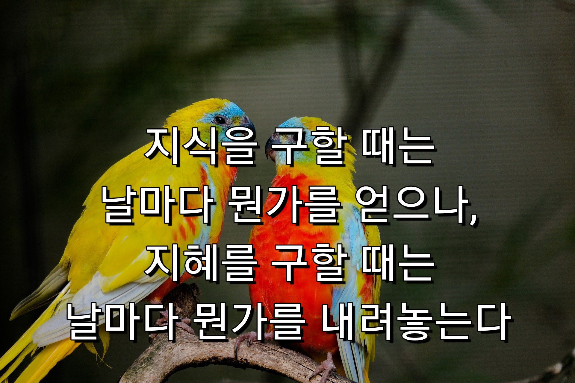  지식과 지혜를 구할때