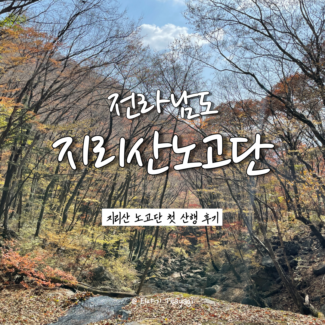  전라도 Jeonlado | 등린이의 화엄사 - 지리산 노고단 등산 후기 (feat. 지리산 노고단 탐방 예약 방법)