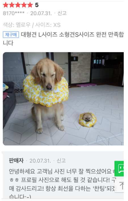  댕댕이 넥카라 후기