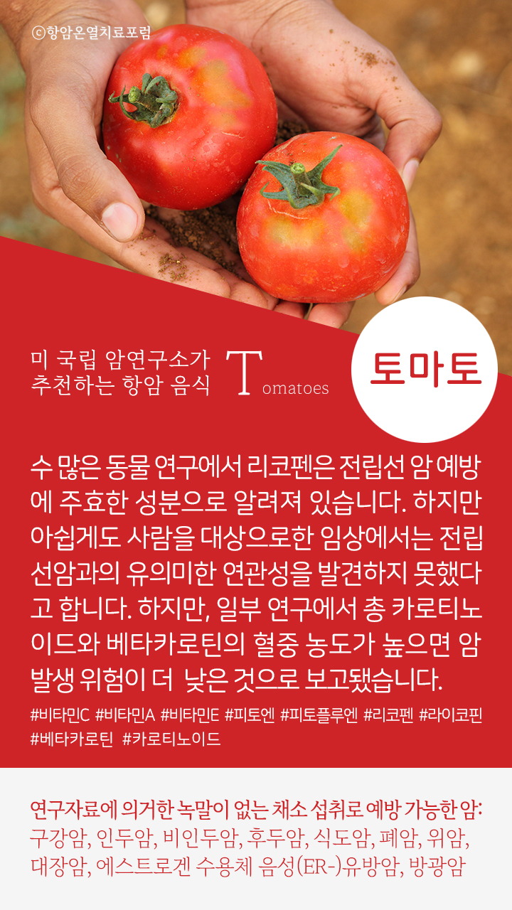 토마토연구소 이미지