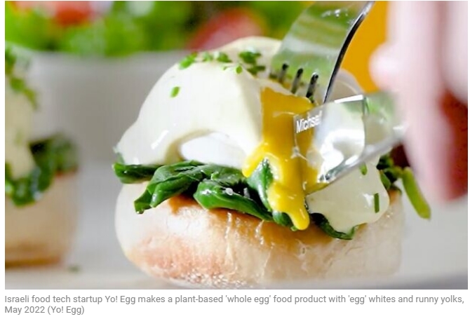 계란도 비건 열풍... 이스라엘 스타트업&#44; 세계 최초 식물성 달걀 개발 성공 VIDEO: World’s first’ plant-based sunny-side up eggs served by Israeli food tech startup