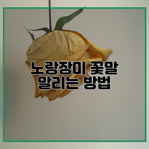  노랑장미 말리는 방법 - 꽃을 장식으로 사용하기 좋은 Tip들!