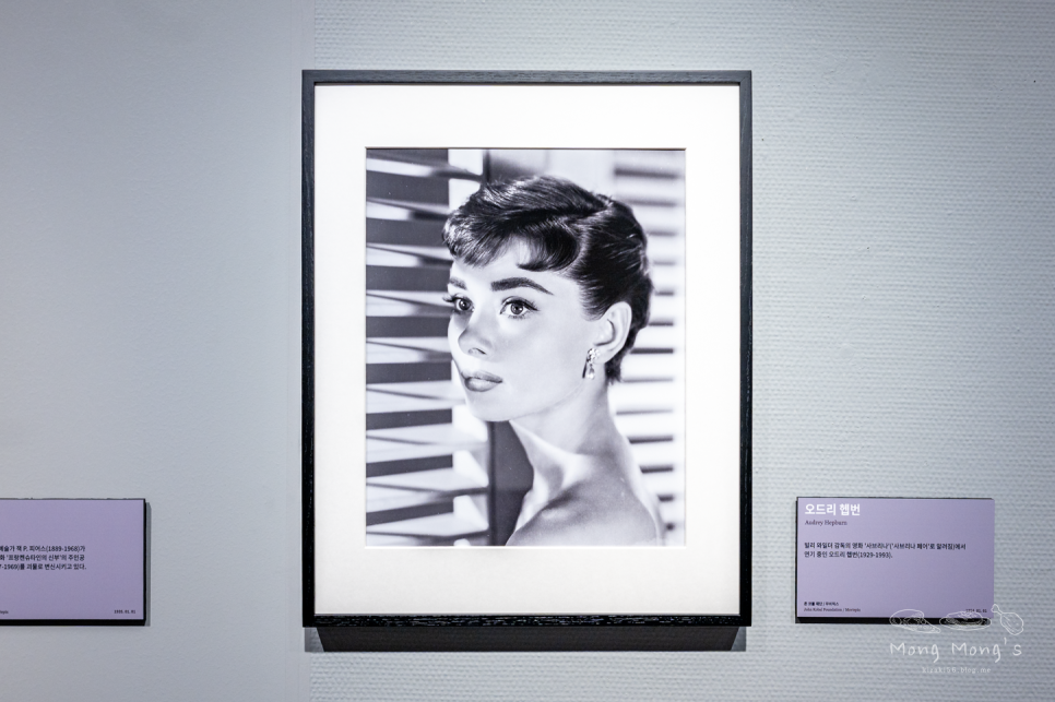 서울예술 3월 서울전시회 게티이미지 14