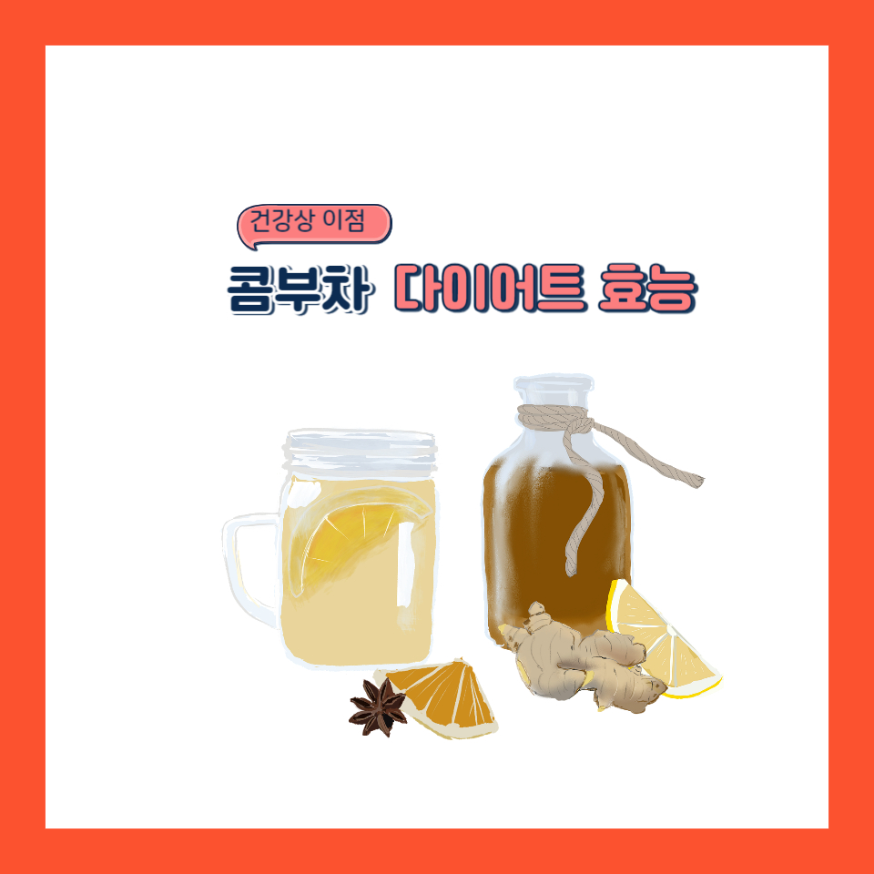  콤부차 효능 다이어트 효과와 건강상의 이점