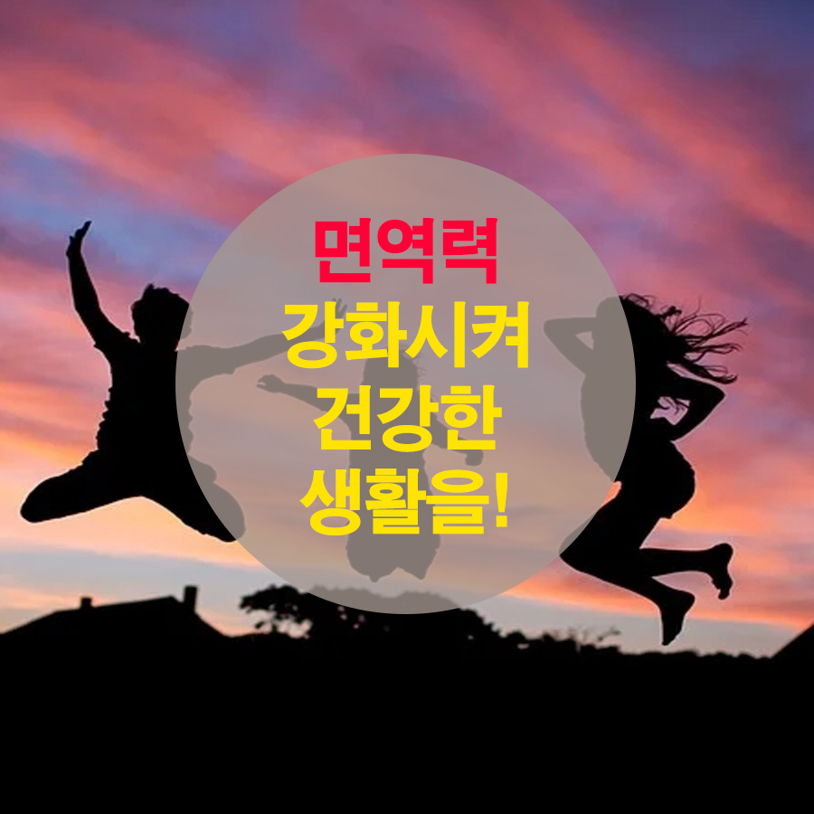  면역력 높이는 음식 건강한 생활을 유지