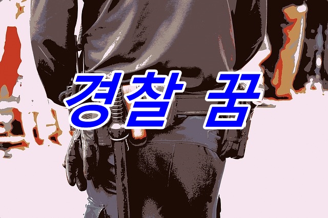  경찰에 잡히는 꿈의 의미 25