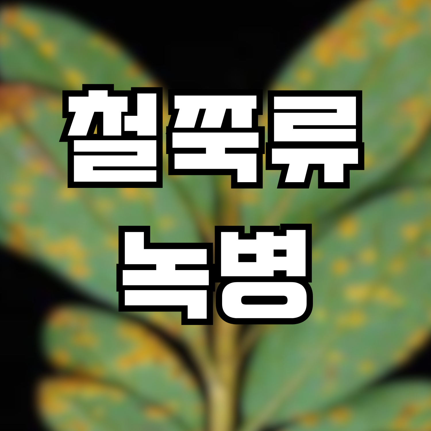  철쭉류녹병