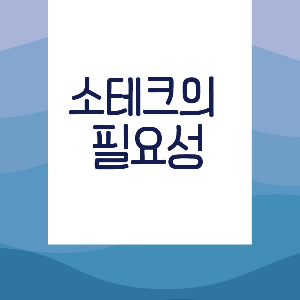 소금제테크