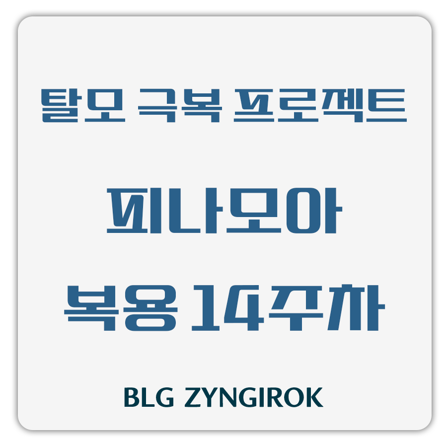 탈모 극복 프로젝트 피나모아 복용 14주차 썸네일 이미지이다.