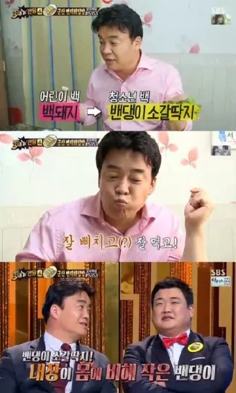밴댕이 소갈딱지 뜻 사용 방법 용례 예시_19