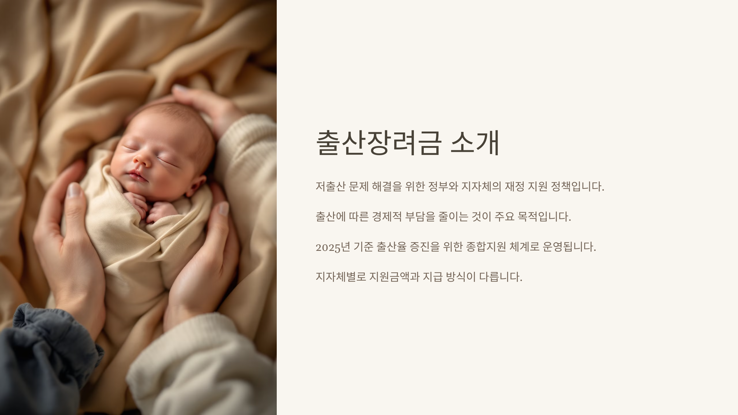 출산장려금이란