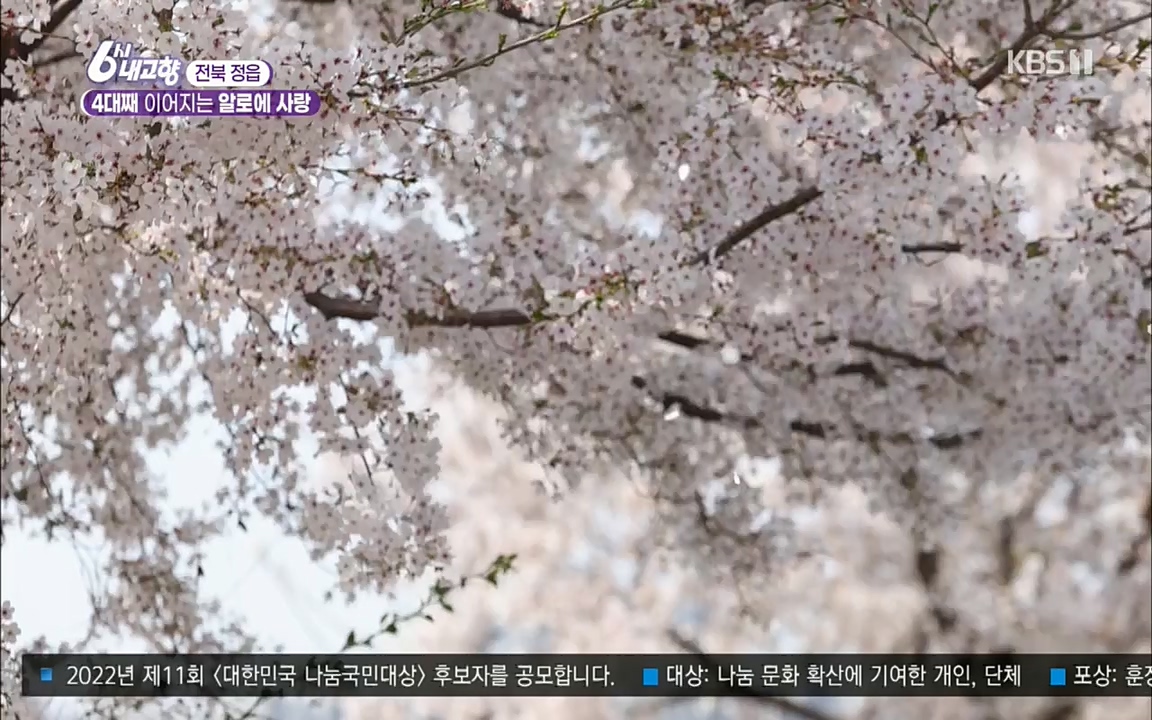6시 내고향.E7511.220415p.H264-F1RST.mp4_20220425_174113.431.jpg