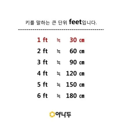 미국에서 사람 키 피트 5피트 10피트 얼마일까_5