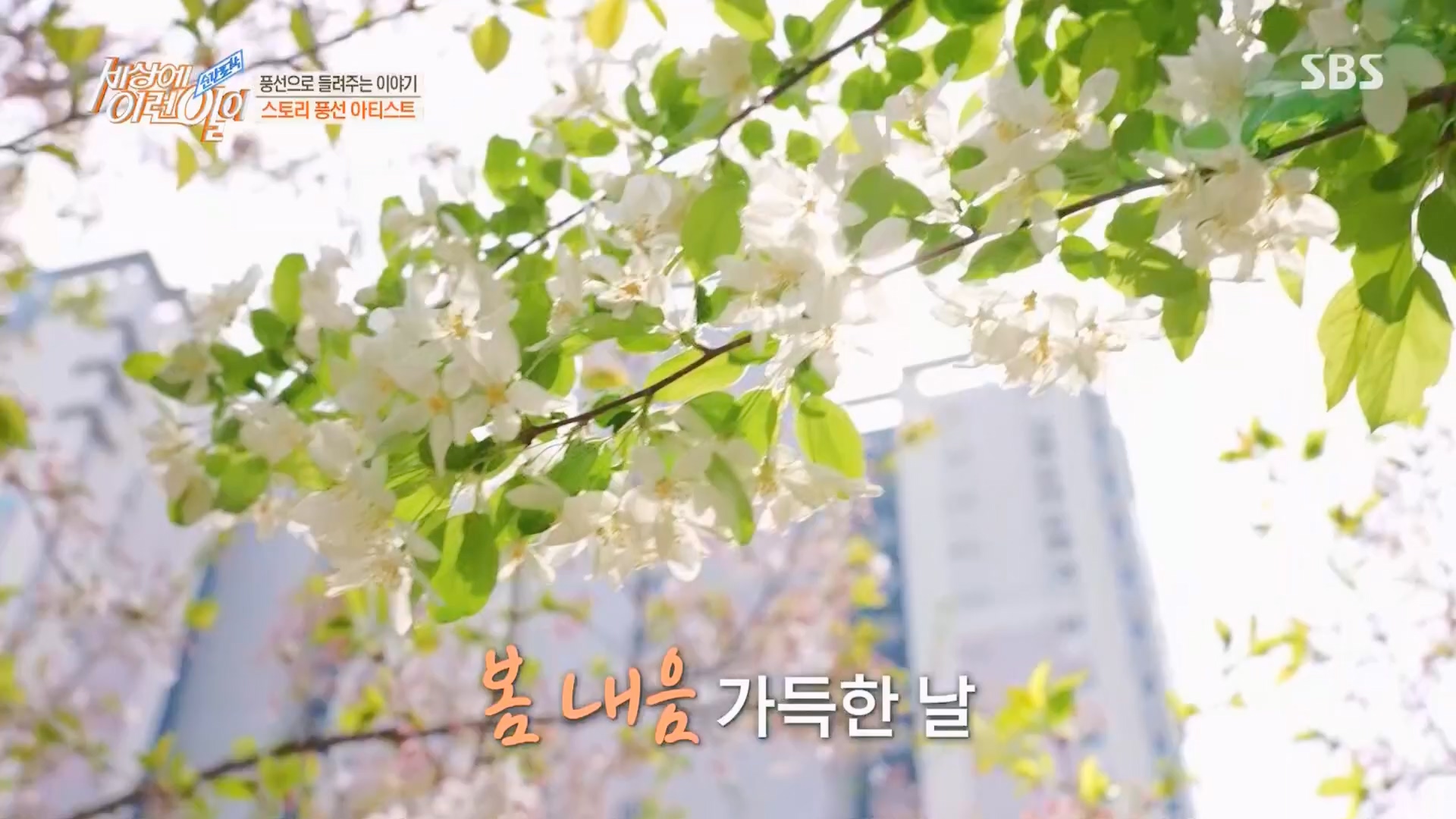 순간포착 세상에 이런일이.E1225.230411p.H264-F1RST.mp4_20230412_200303.824.jpg