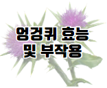 마가목 효능 12가지와 먹는 법 및 부작용