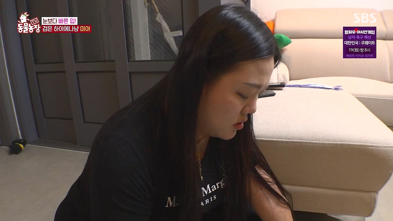 TV 동물농장.E1138.230918p-NEXT.mp4_20230917_174236.430.jpg