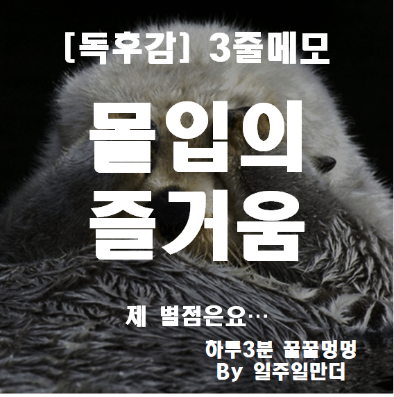 몰입의 즐거움 독후감