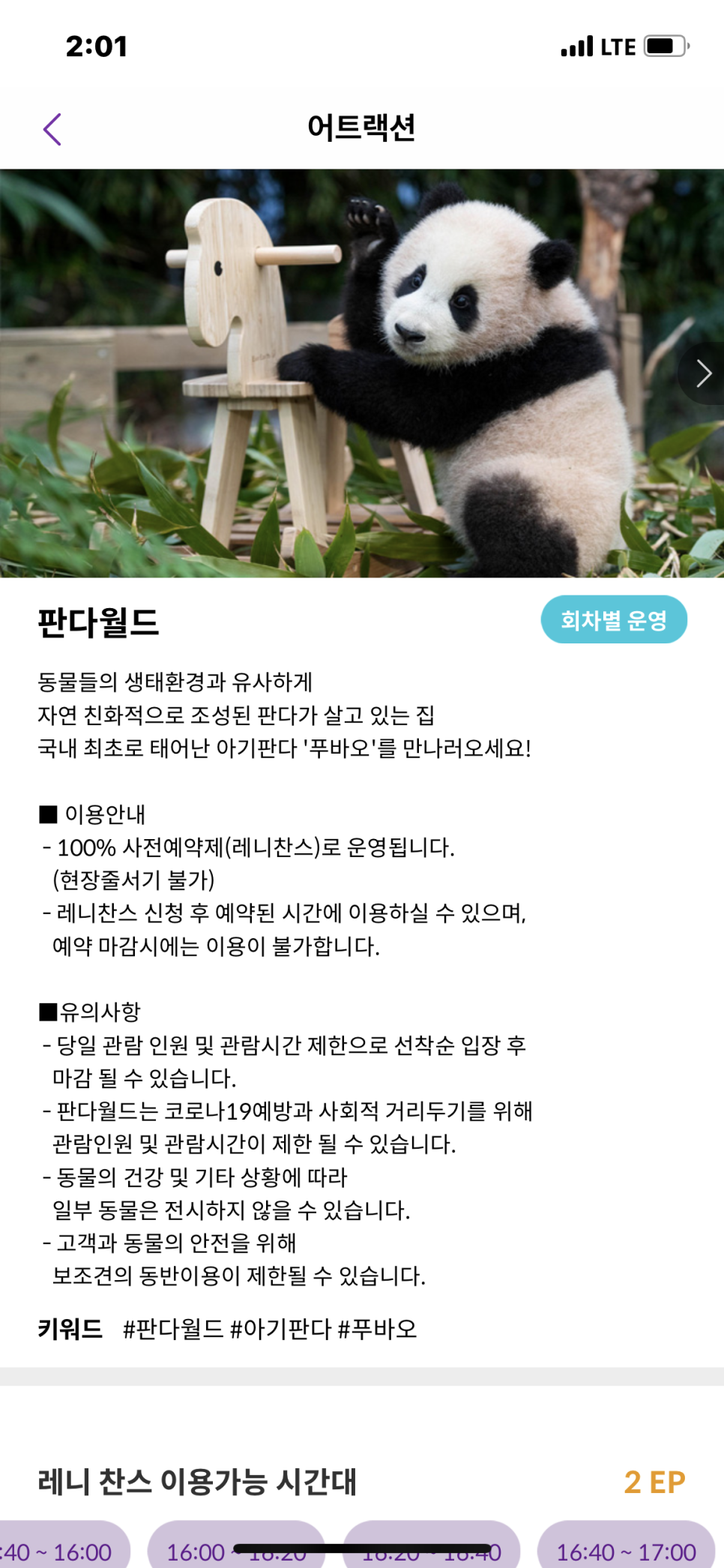 할인 레니 찬스로 판다 월드 에버랜드 자유이용권 32