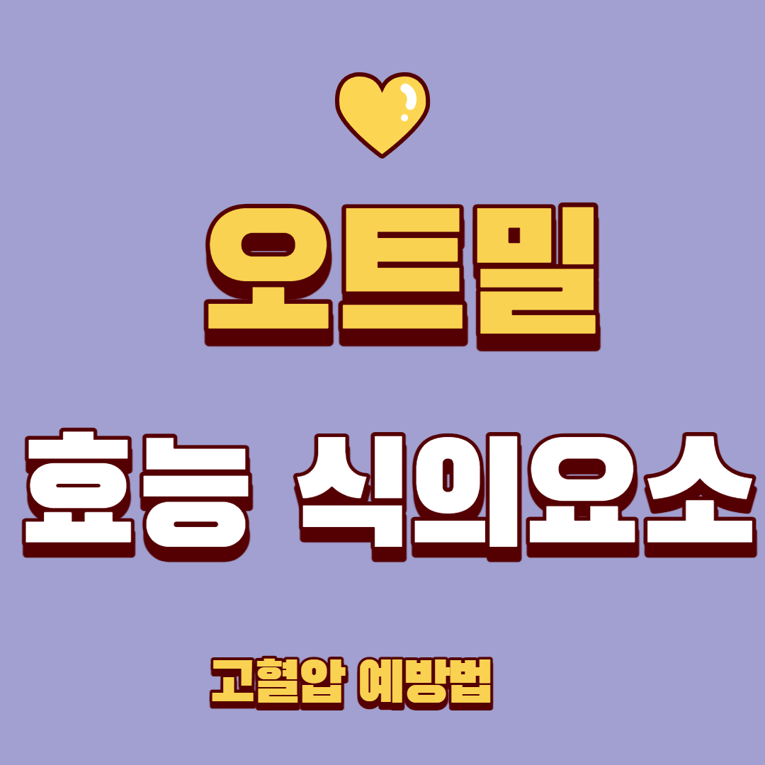  [건강] 오트밀 효능 좋은점 음식 부작용