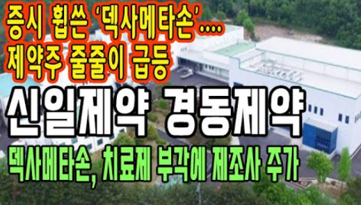  신일제약 주가 전망