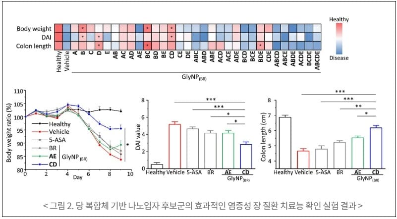 카이스트, 만성 염증성 장 질환 치료제 개발 Anti-inflammatory Glycocalyx-Mimicking Nanoparticles for Colitis Treatment: