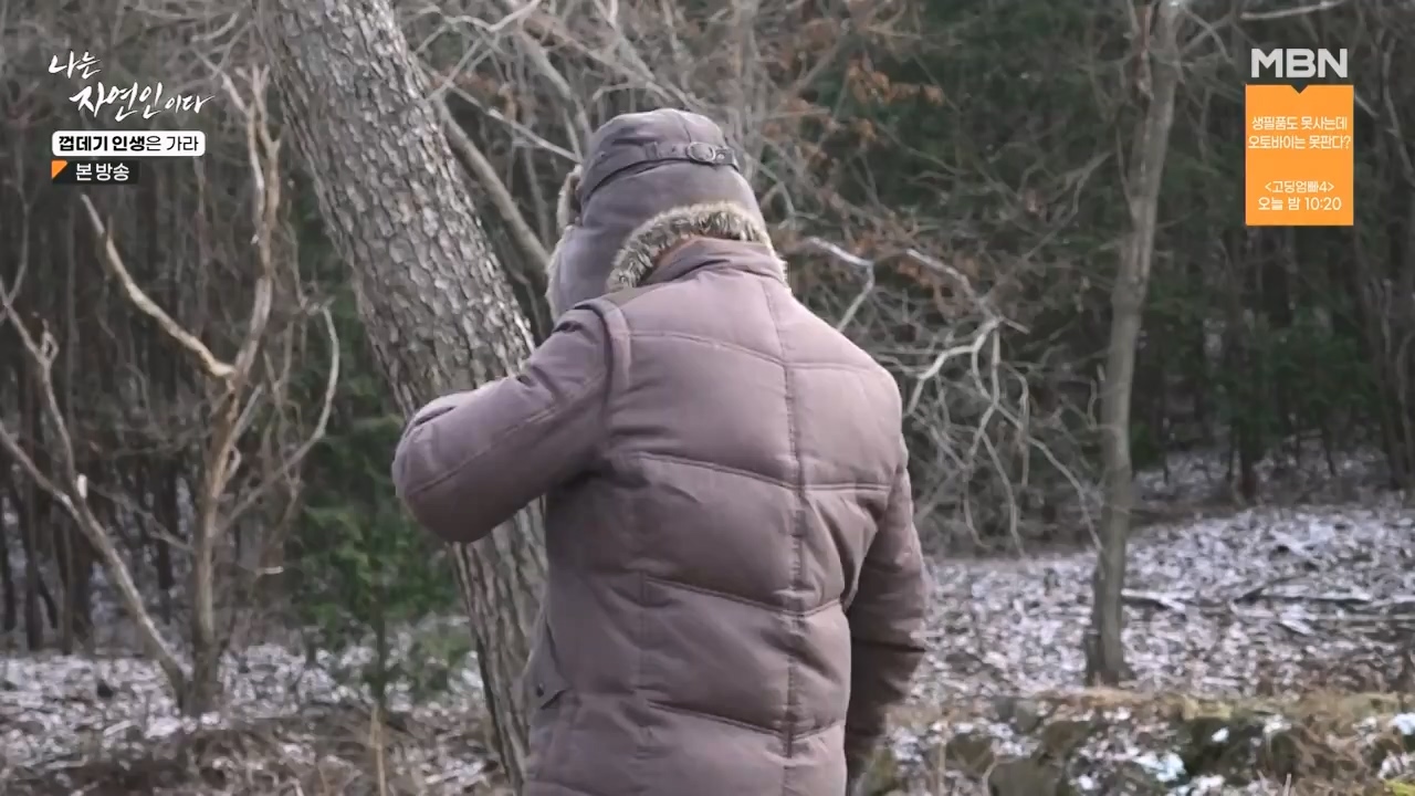 나는 자연인이다.E590.240125p-NEXT.mp4_20240125_200044.184.jpg