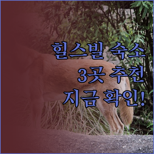 힐스빌 여행, 어디서 묵을까? 최고의
