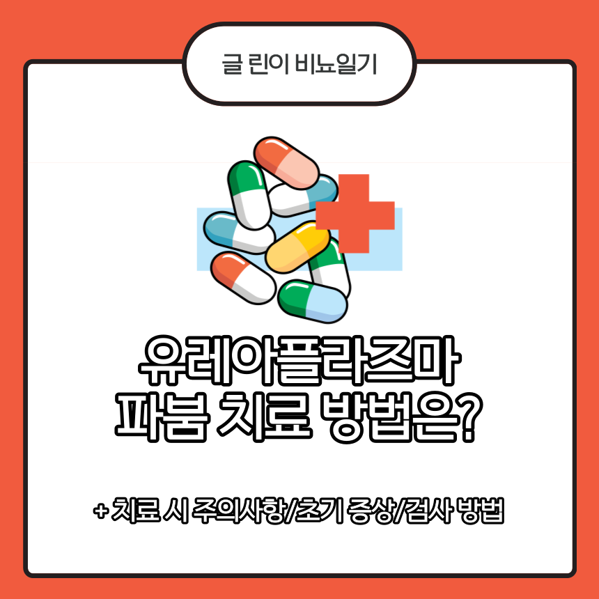  유레아플라즈마 파붐 치료방법은?