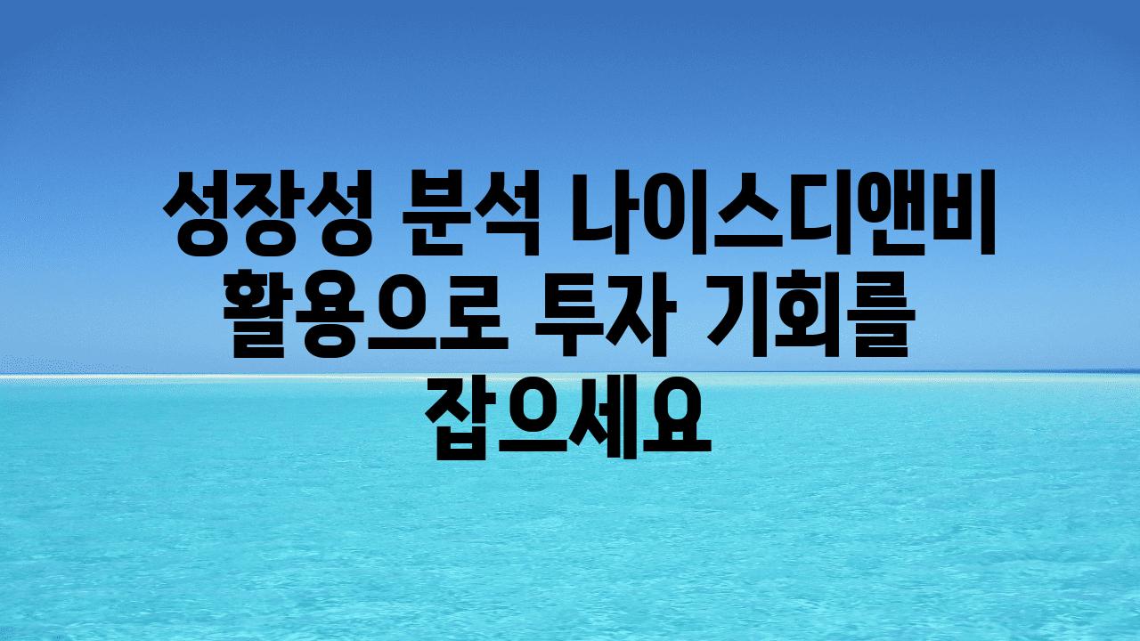  성장성 분석 나이스디앤비 활용으로 투자 기회를 잡으세요