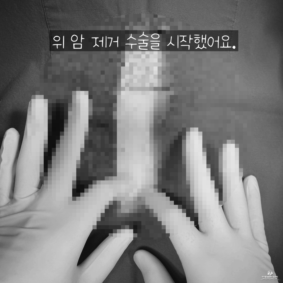 수술 후 마시티닙 항암치료 13살 노령견 강아지 위암 8