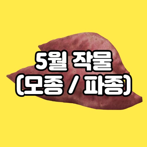  5월에 심는 작물, 밭작물, 농작물 (모종, 파종작물)