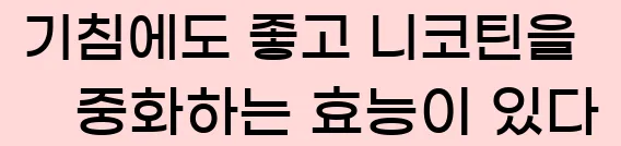  7. 기침에도 좋고, 니코틴을 중화하는 효능이 있다.
