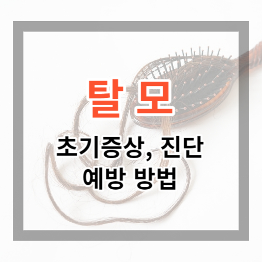  탈모 초기증상 및 자가진단, 예방 방법으로 탈모 고민 도움 받기