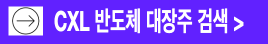CXL 반도체 테마주 수혜주 대장주 종목 검색