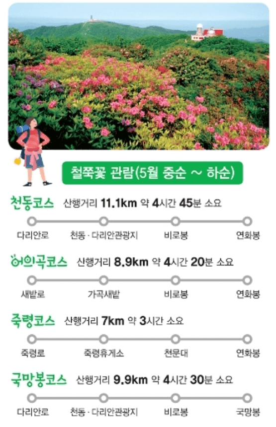 전국 4월 철쭉 축제 일정 총정리