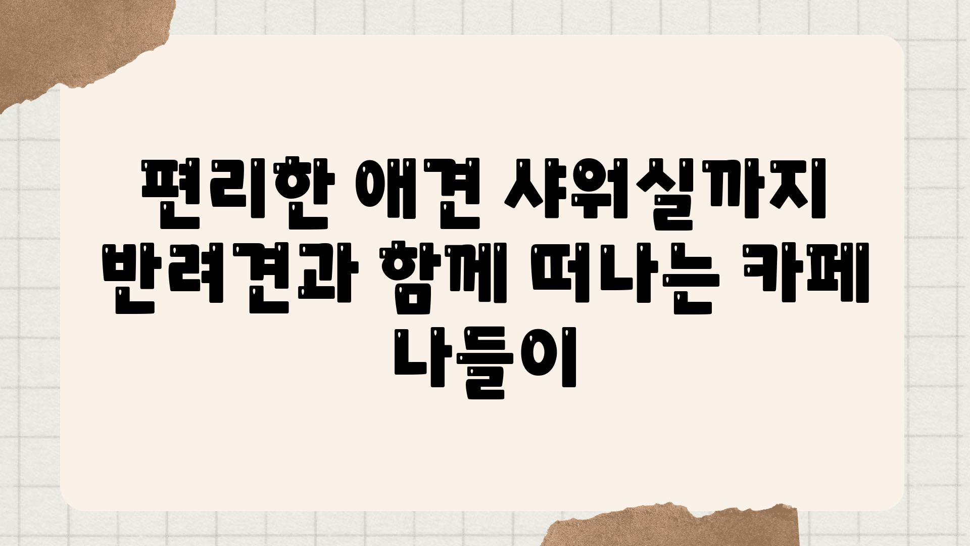 편리한 애견 샤워실까지 반려견과 함께 떠나는 카페 나들이