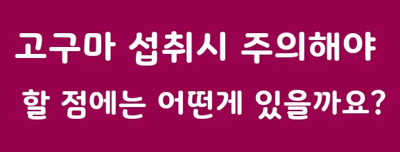 고구마 섭취시 주의해야 할 점에는 어떤게 있을까요?