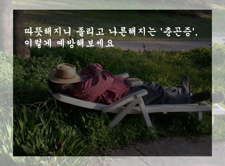  따뜻해지니 졸리고 나른해지는 '춘곤증', 이렇게 예방해보세요