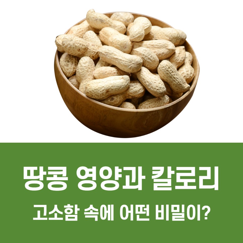 땅콩 칼로리 땅콩 효능 6