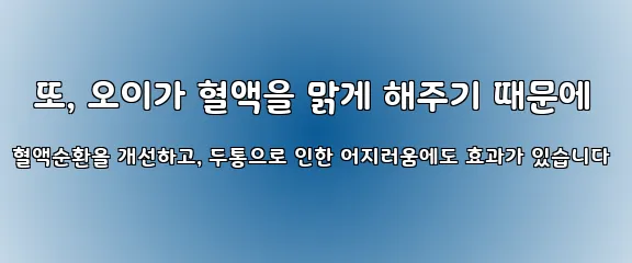  또, 오이가 혈액을 맑게 해주기 때문에 혈액순환을 개선하고, 두통으로 인한 어지러움에도 효과가 있습니다