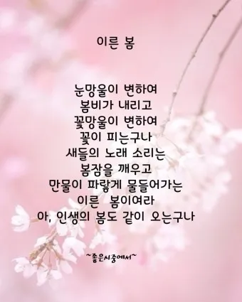 봄 시 모음 이해인 나태주 명시 모음_9
