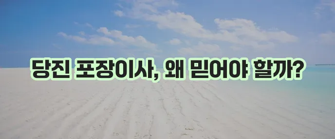 당진 포장이사 믿고 맡겨보세요!