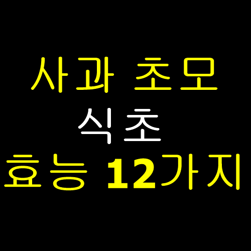  사과 초모 식초 효능