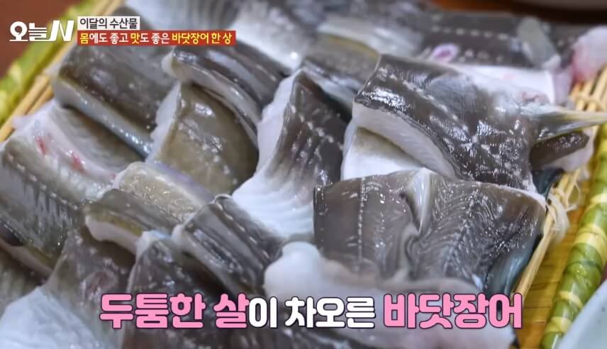 오늘N 이달의 수산물 통영 자연산 바닷장어 구입방법 근해통발수협협동조합 오늘N 2502회