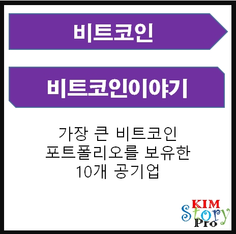  비트코인 포트폴리오를 보유한 10개의 공기업