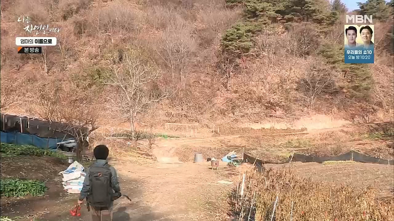 나는 자연인이다.E531.221208p.H264-F1RST.mp4_20221208_204227.460.jpg