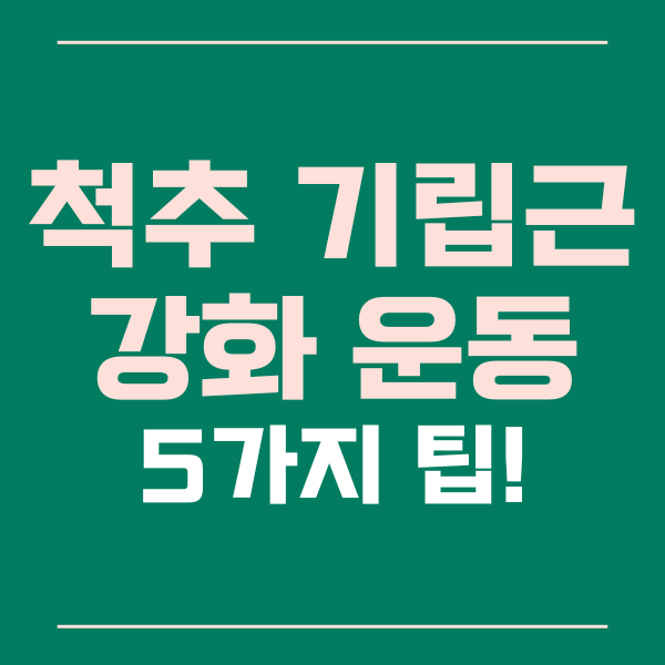  척추 기립근 강화를 위한 5가지 운동 방법