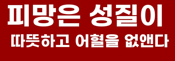 피망은 성질이 따뜻하고 어혈을 없앤다